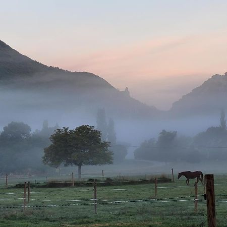 Mas De Reilhanette Montbrun-les-Bains Kültér fotó